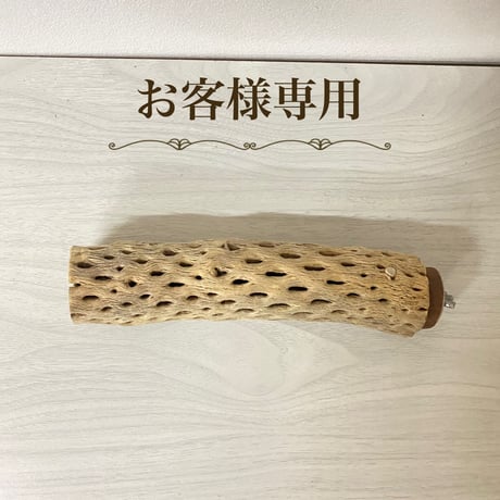 【toriki.fam59様専用】カクタスパーチ 小サイズ 直径（約4cm）長さ/20cm