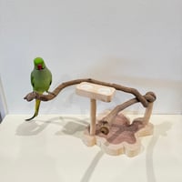 ツタのおやつ入れ付きスタンドパーチ【インコ 天然木 自然木 パーチ 止まり木】