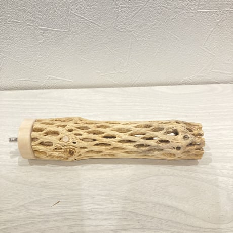 カクタスパーチ小㉑直径約3~4cm 長さ15cm