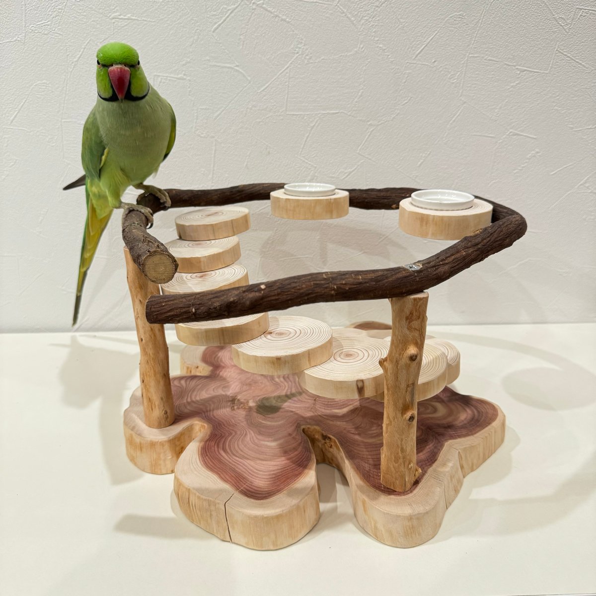 ツタと螺旋階段のおやつ入れ付きスタンドパーチ【インコのおもちゃ