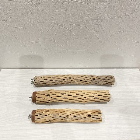 【yumi5593様専用】カクタスパーチ 小サイズ直径（約3-4cm）30cm/25cm/20cm