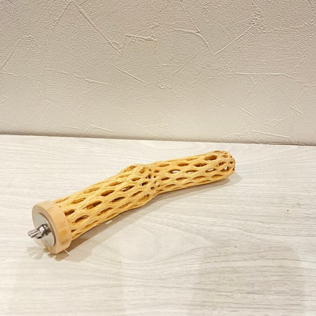 カクタスパーチ小直径3~4cm 長さ20cm ⑪