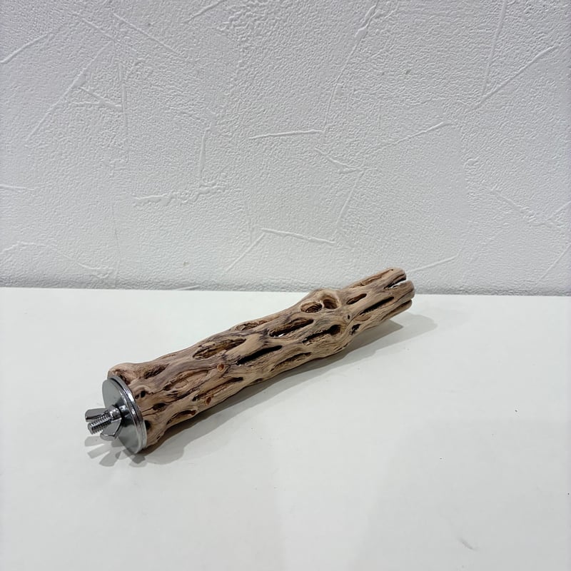 カクタスパーチ極小サイズ⑦ 直径約2.7cm/長さ15cm【自然木 止まり木