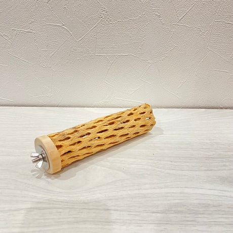 カクタスパーチ⑦ 小サイズ長さ15cm