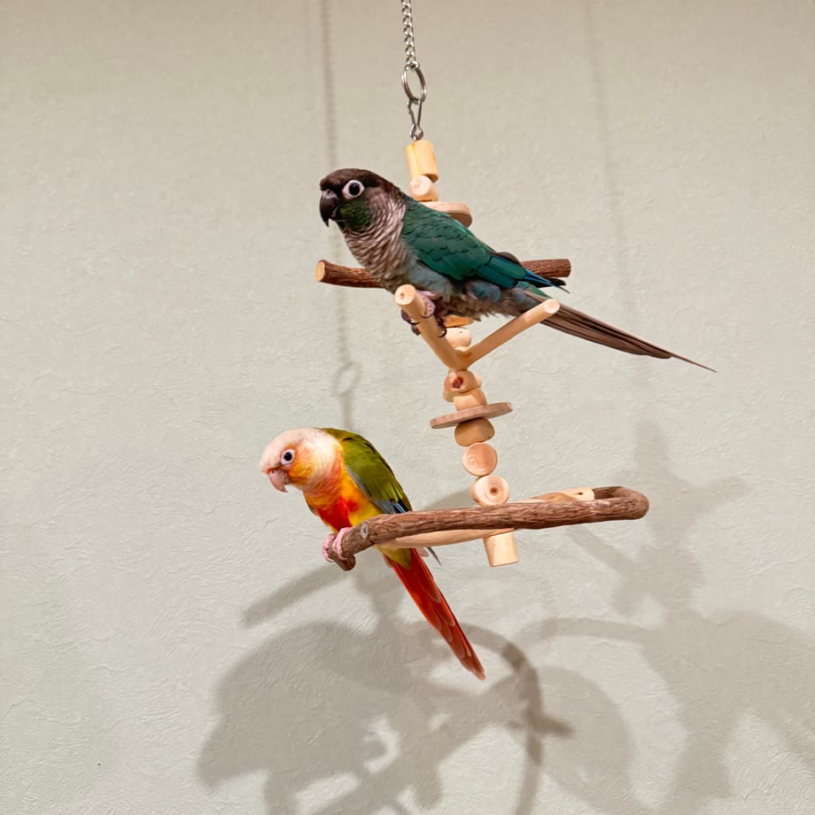 686bbe0c66372affbc8ff4f7