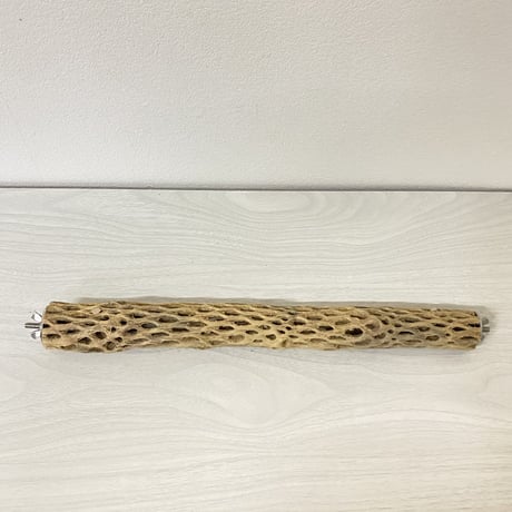 ケージサイズカクタスパーチ⑥ 極小サイズ直径2-3cm HOEI35サイズ