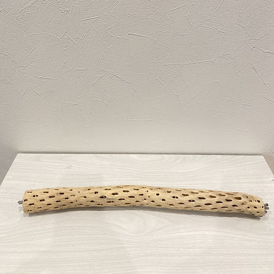 6458c1aca75109002ceb490c