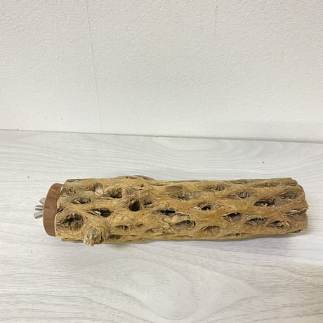 【中型・大型用】カクタスパーチ中③　直径5cm／長さ19.5cm