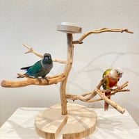カイヅカのツリーバードアスレチック【インコのおもちゃ・自然木のとまり木】