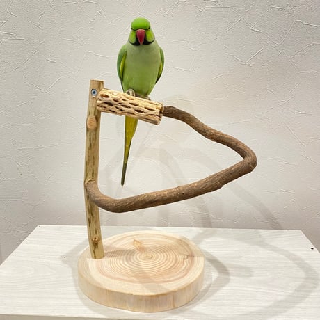 ツタのぐるりんスタンドパーチ③　カクタス付き