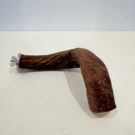 自然木（ツタ）パーチ 直径約3.5-4cm/長さ19cm