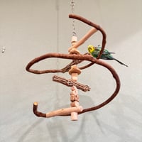 コトリのなる木ミニミニカスタム　ツタのつり下げバードアスレチック【文鳥 インコ 自然木 止まり木】