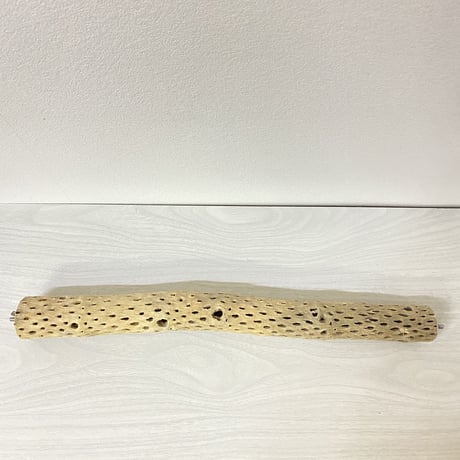 ケージサイズカクタスパーチ③ 小サイズ直径3-4cm HOEI465サイズ