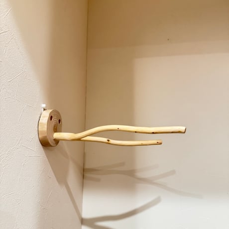 桧のピノキオの鼻⑥