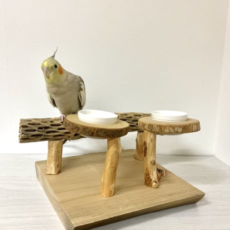 【ふまこも様専用】ケージサイズカクタスパーチ・カクタスパーチ・カクタスのおやつ入れつきスタンドパーチ