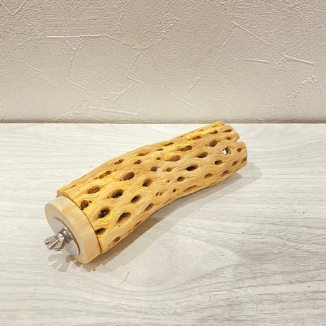 カクタスパーチ【D】直径4~5cm/長さ15cm