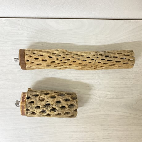 【fumi.ramu様専用】カクタスパーチ 中直径約3-4cm/22cm