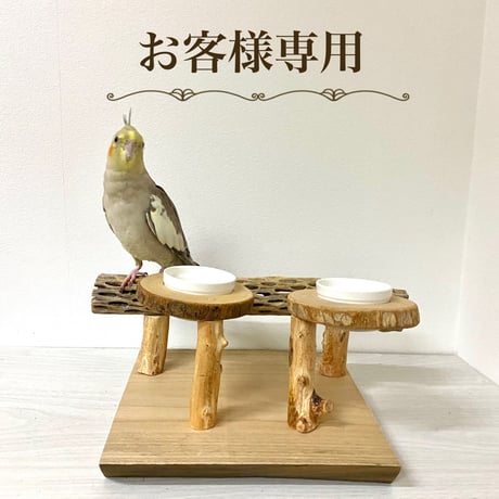 【ふまこも様専用】ケージサイズカクタスパーチ・カクタスパーチ・カクタスのおやつ入れつきスタンドパーチ