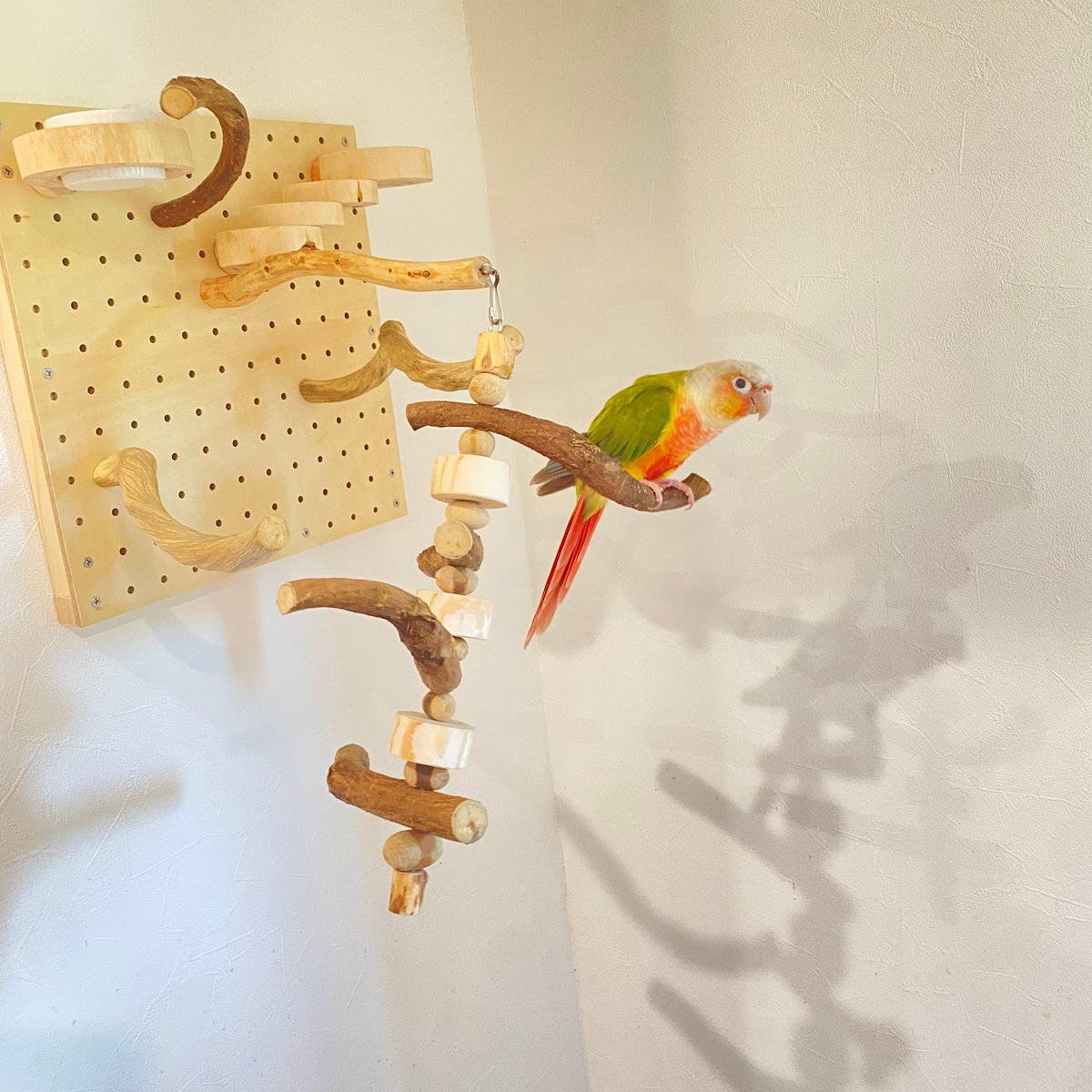 自由にカスタム 壁掛けバードアスレチック【A】【インコのおもちゃ