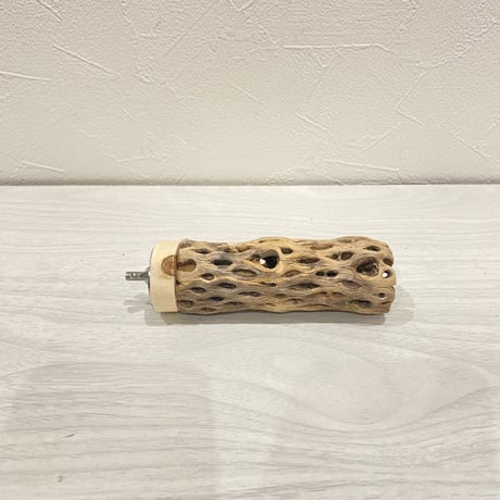 カクタスパーチ⑥  極小 直径3cm前後 長さ10cm