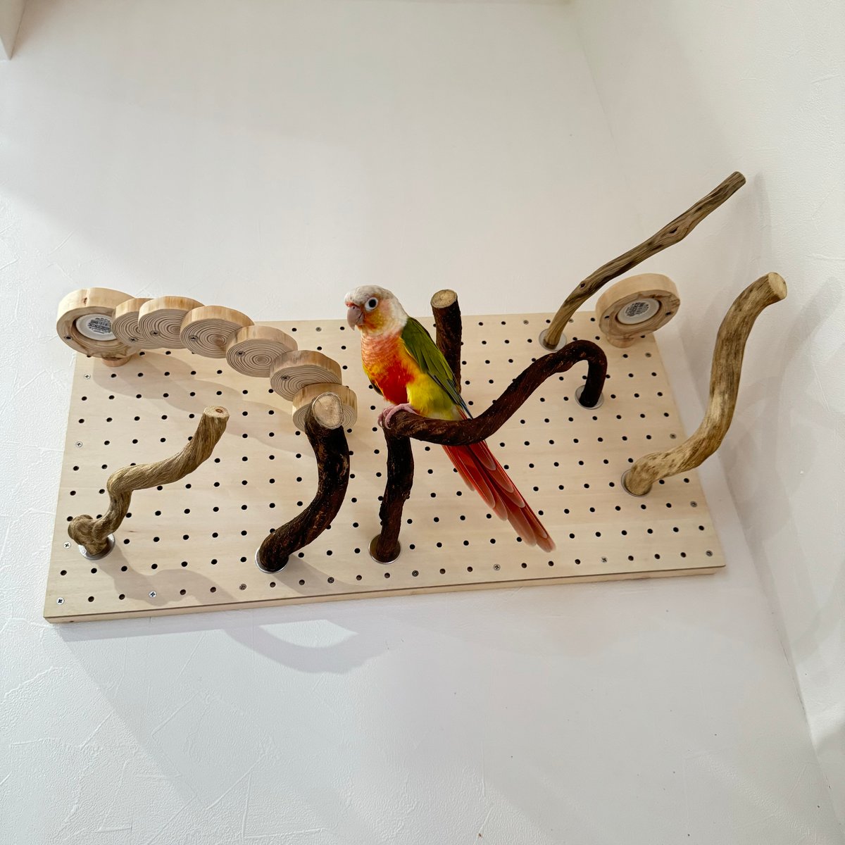自由にカスタム 壁掛けバードアスレチック【B】 | 自然木の鳥用品 鳥豆
