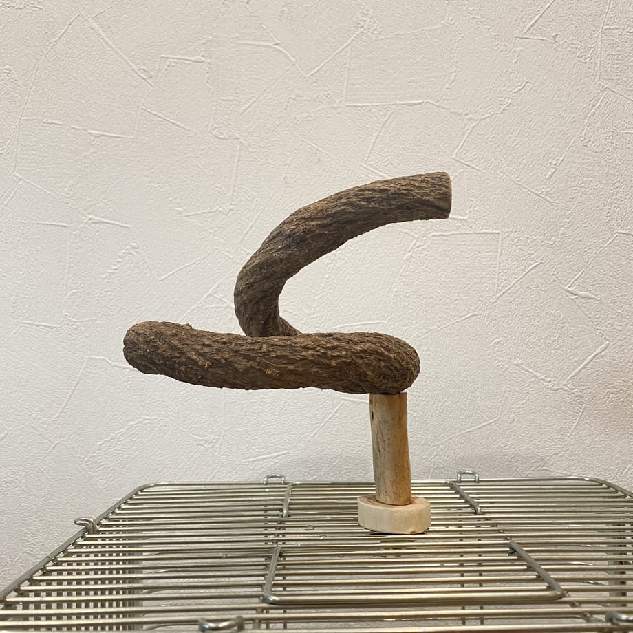 646dcda1e295350031c32988