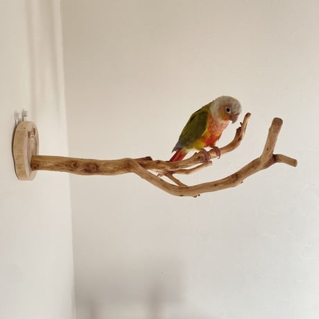 ピノキオの鼻 ③
