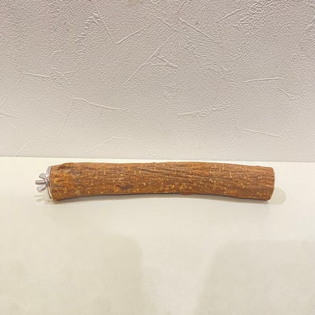自然木（ツタ）パーチ④