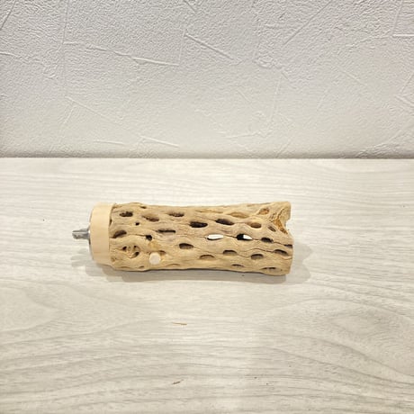 カクタスパーチ小⑨ 直径約3~4cm 長さ10cm