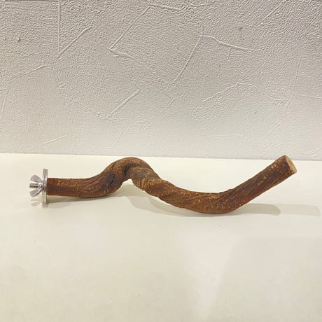 自然木（ツタ）パーチ 直径約1.6cm/長さ20cm