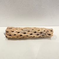 カクタスパーチ(M) 直径約4.5~5cm/長さ20cm