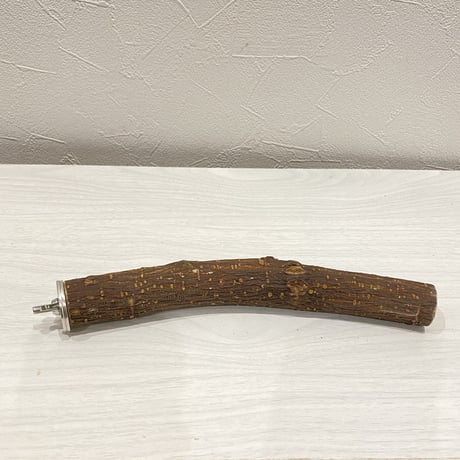 自然木（ツタ）パーチ⑫ 直径2.5cm長さ21cm