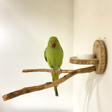 ピノキオの鼻③