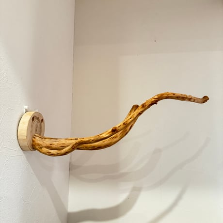ピノキオの鼻 ②