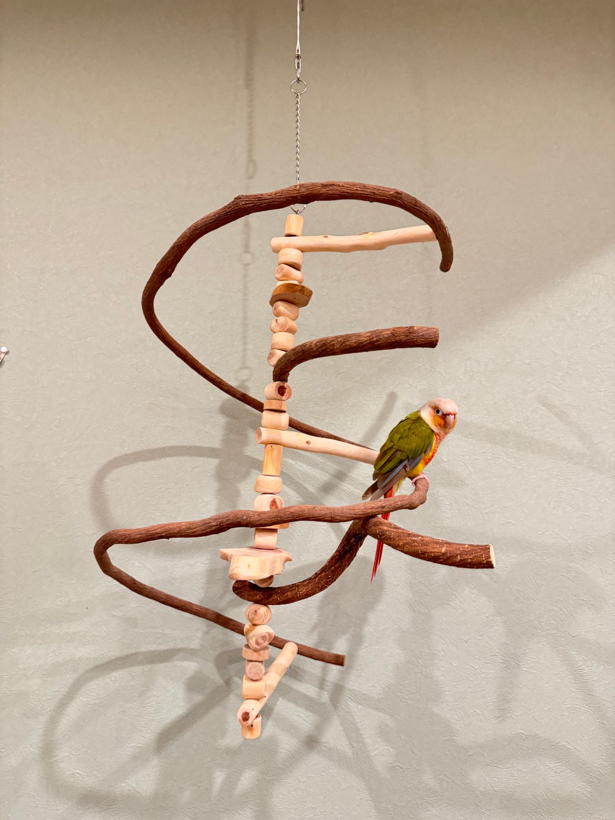 コトリのなる木カスタム つり下げゆらゆらバードアスレチック