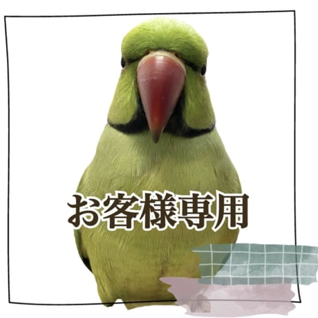 【K様専用】ツタの殿様スタンドパーチ