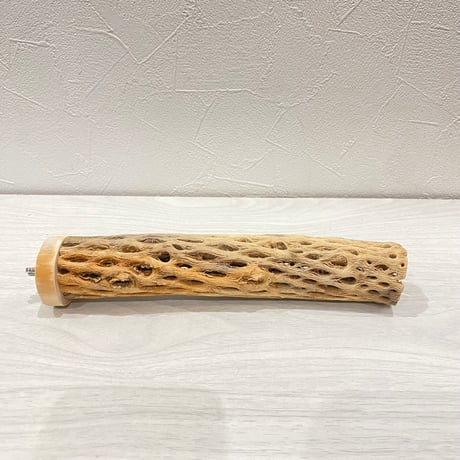 カクタスパーチ⑭ 小サイズ長さ20cm