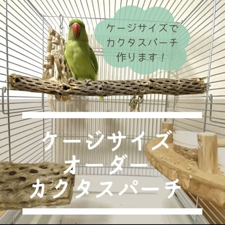 ただいま休止中です【オーダー方法】ケージサイズカクタスパーチ