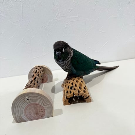 幼鳥・老鳥・介護サポート用　置き型カクタスパーチ 全長19cm/カクタス長さ15cm