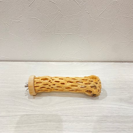 カクタスパーチ② 小サイズ長さ14cm