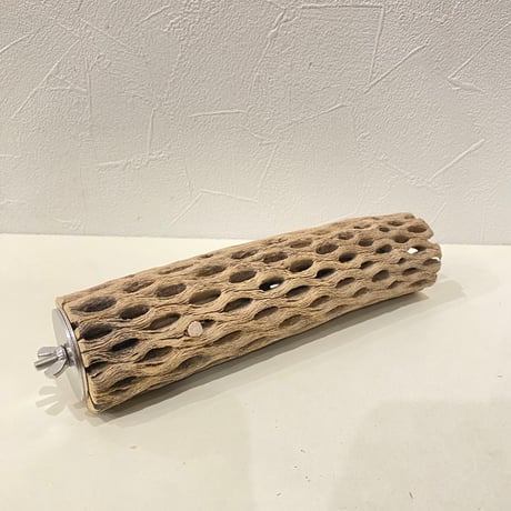 カクタスパーチ⑫ 直径約5cm/長さ20cm