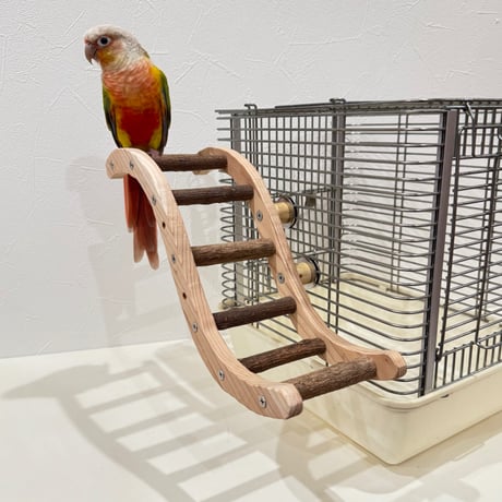 ウェーブラダー ハシゴ 【自然木の止まり木 インコのおもちゃ】