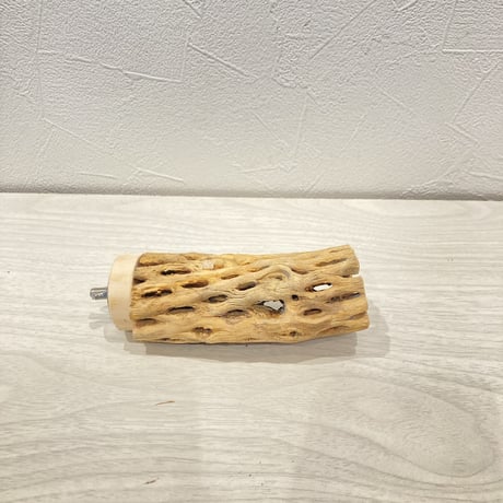 カクタスパーチ小⑦ 直径約3~4cm 長さ10cm