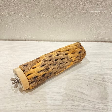 カクタスパーチ【19】直径4~5cm/長さ15cm