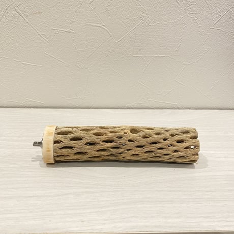 カクタスパーチ【13】 小直径3.5cm/15cm