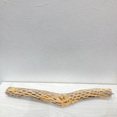 ケージサイズカクタスパーチ② 小サイズ直径3-4cm HOEI465サイズ