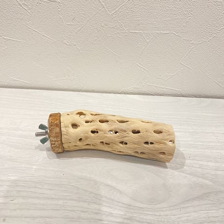 カクタスパーチ【12】  小 直径約4cm 長さ10cm