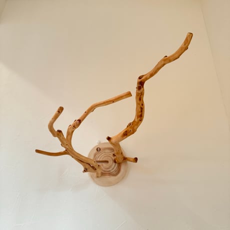 ピノキオの鼻 ②お鼻2本