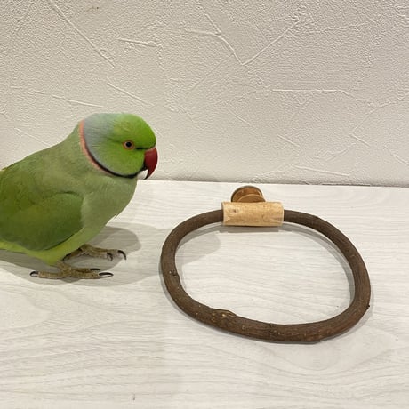 自然木（ツタ）のドーナツパーチ⑧ パーチ直径1cm／円直径15.5×15cm