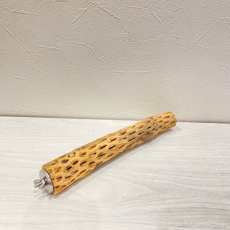カクタスパーチ極小2-3㎝長さ25㎝